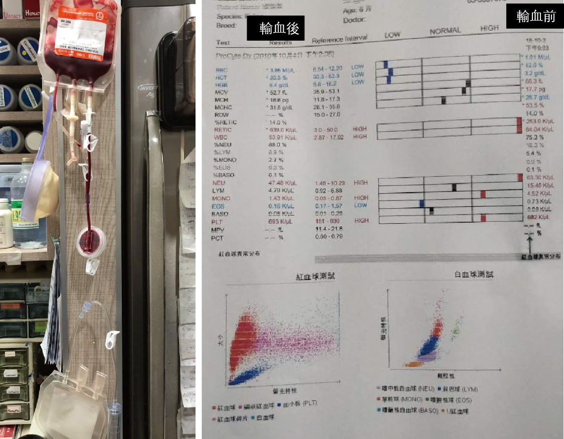 case study-05